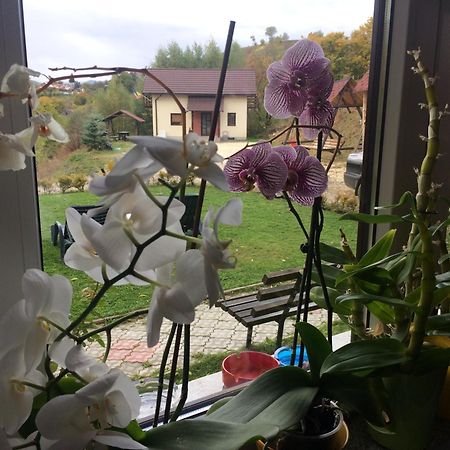 Cabana 7 Brazi Poiana Mărului Exteriör bild