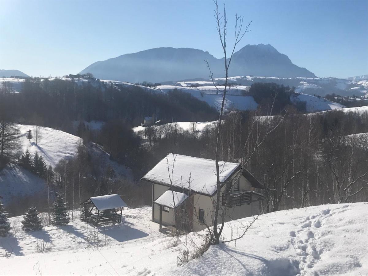 Cabana 7 Brazi Poiana Mărului Exteriör bild