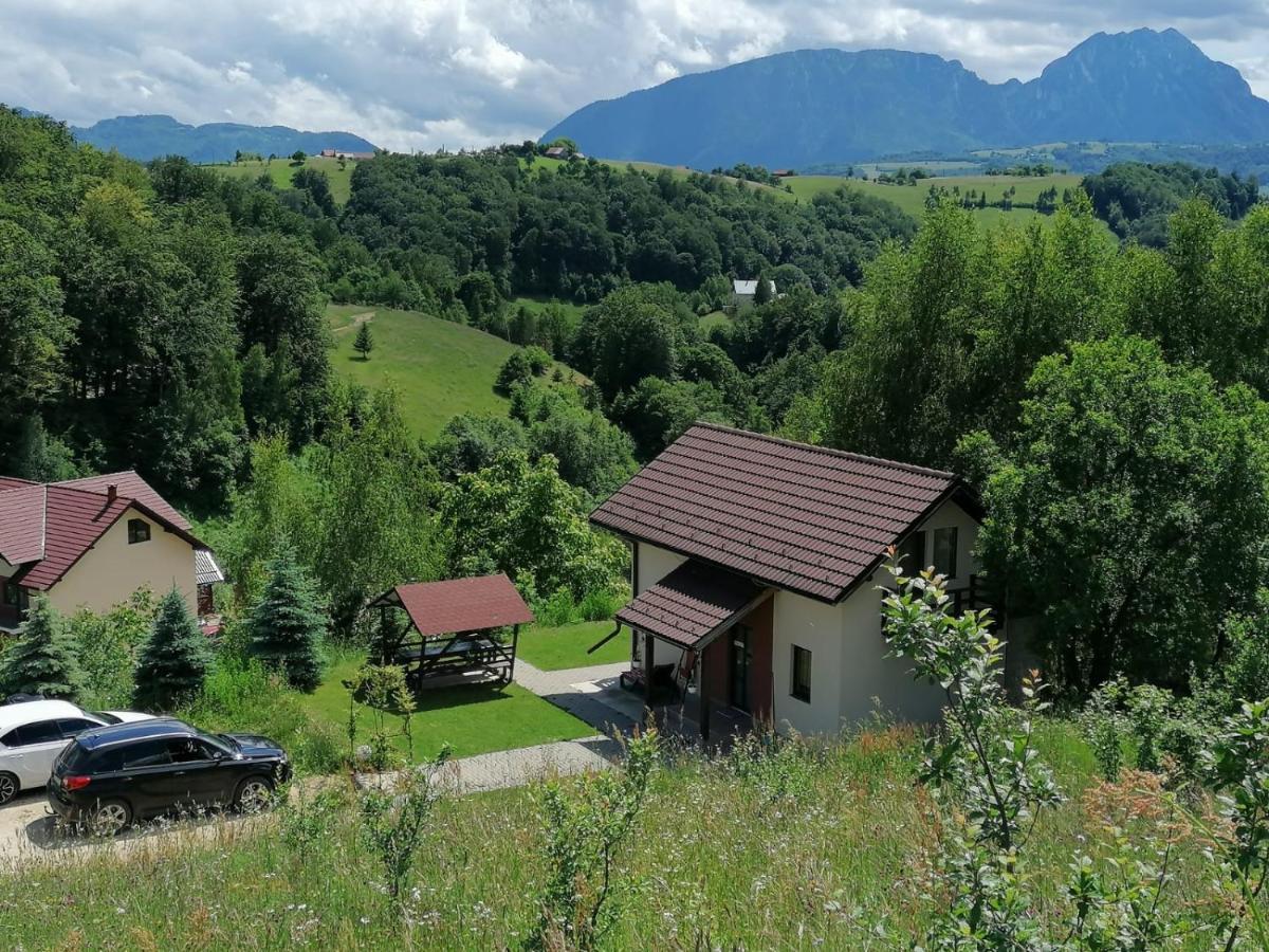 Cabana 7 Brazi Poiana Mărului Exteriör bild
