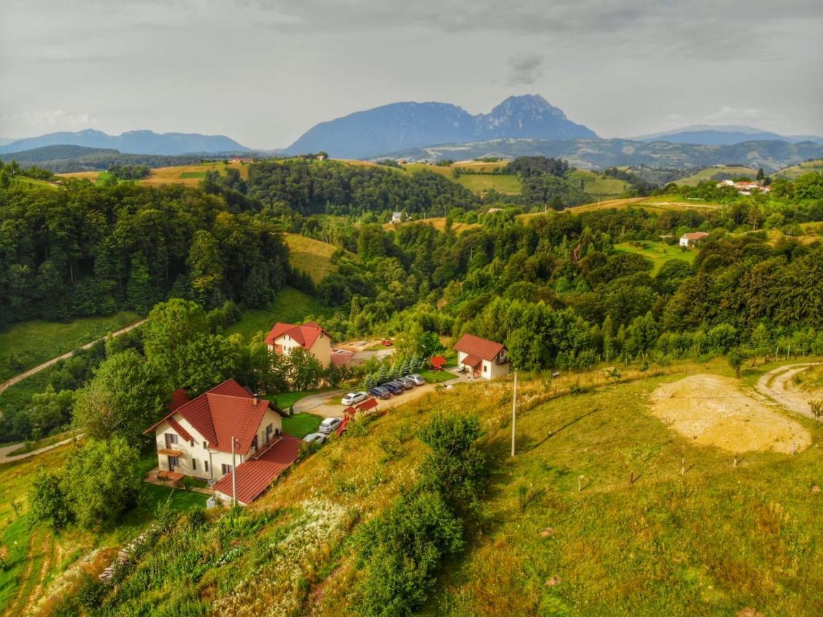 Cabana 7 Brazi Poiana Mărului Exteriör bild