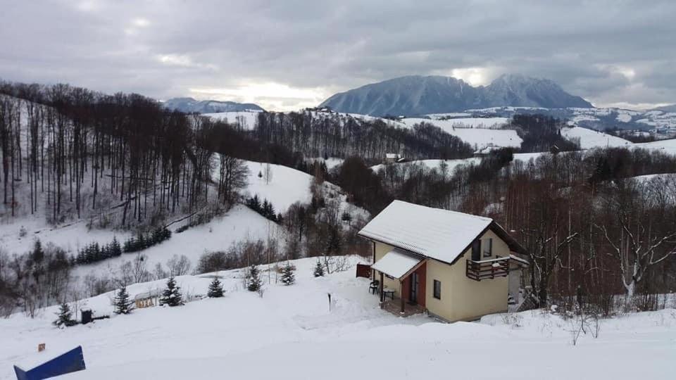 Cabana 7 Brazi Poiana Mărului Exteriör bild