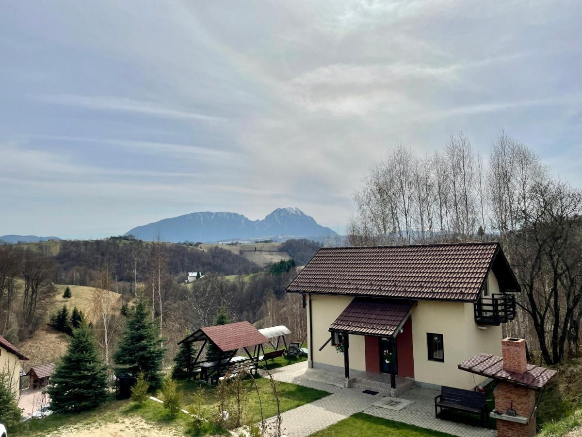 Cabana 7 Brazi Poiana Mărului Exteriör bild