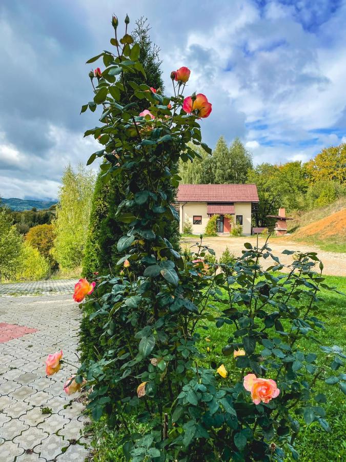 Cabana 7 Brazi Poiana Mărului Exteriör bild