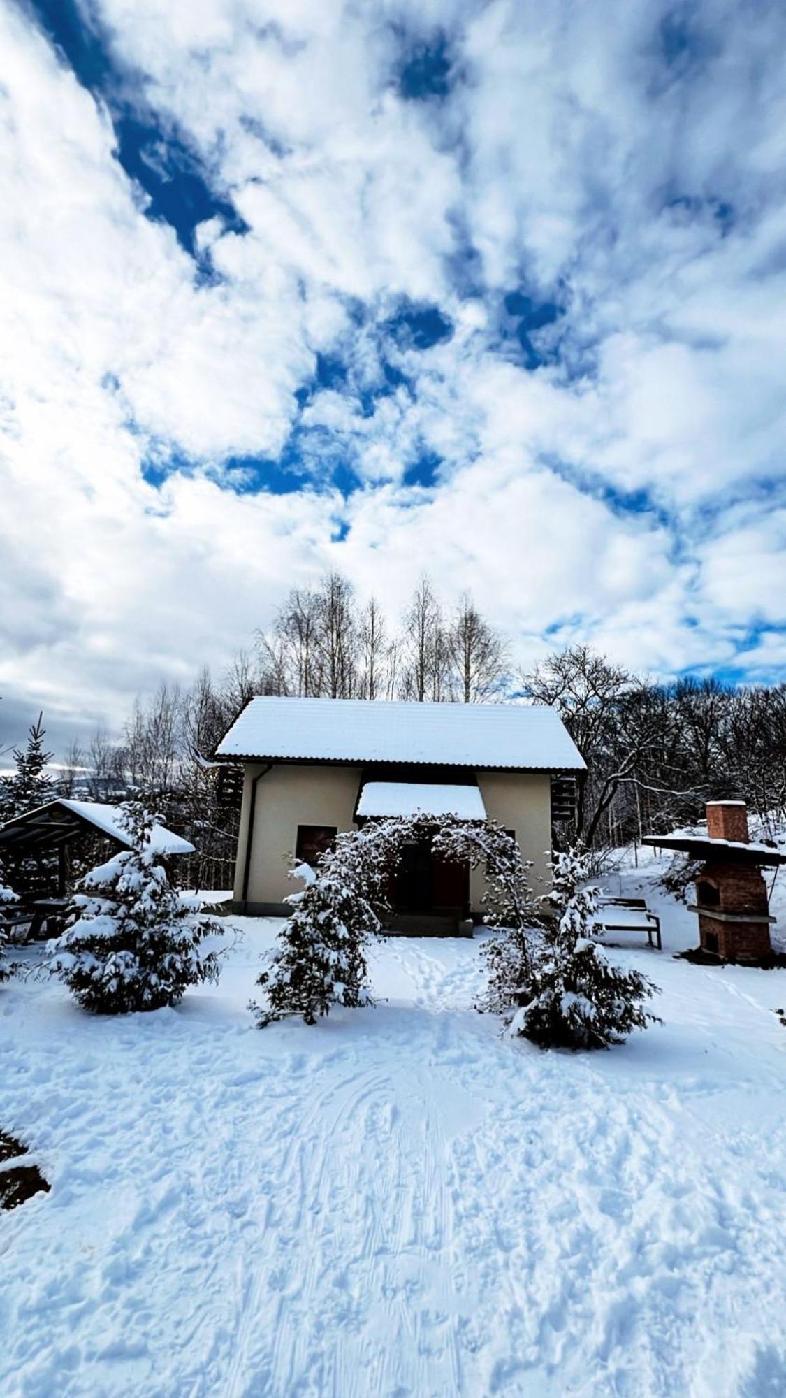 Cabana 7 Brazi Poiana Mărului Exteriör bild