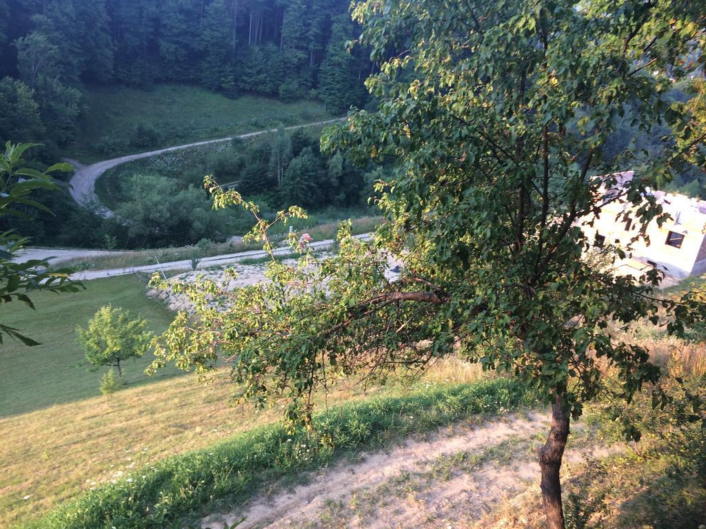 Cabana 7 Brazi Poiana Mărului Exteriör bild