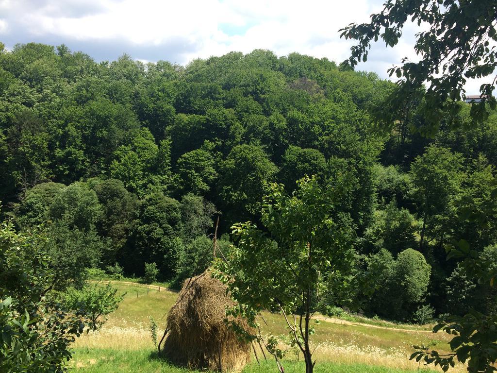 Cabana 7 Brazi Poiana Mărului Exteriör bild