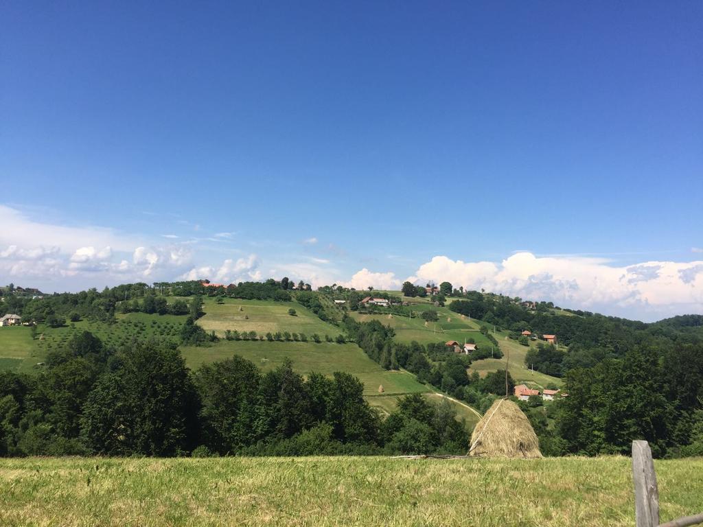 Cabana 7 Brazi Poiana Mărului Exteriör bild