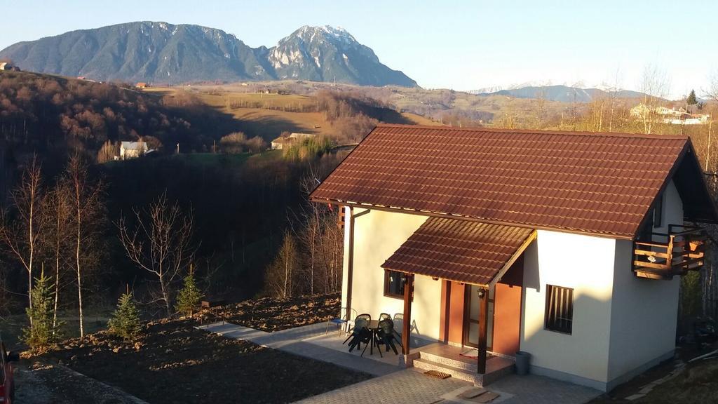 Cabana 7 Brazi Poiana Mărului Exteriör bild