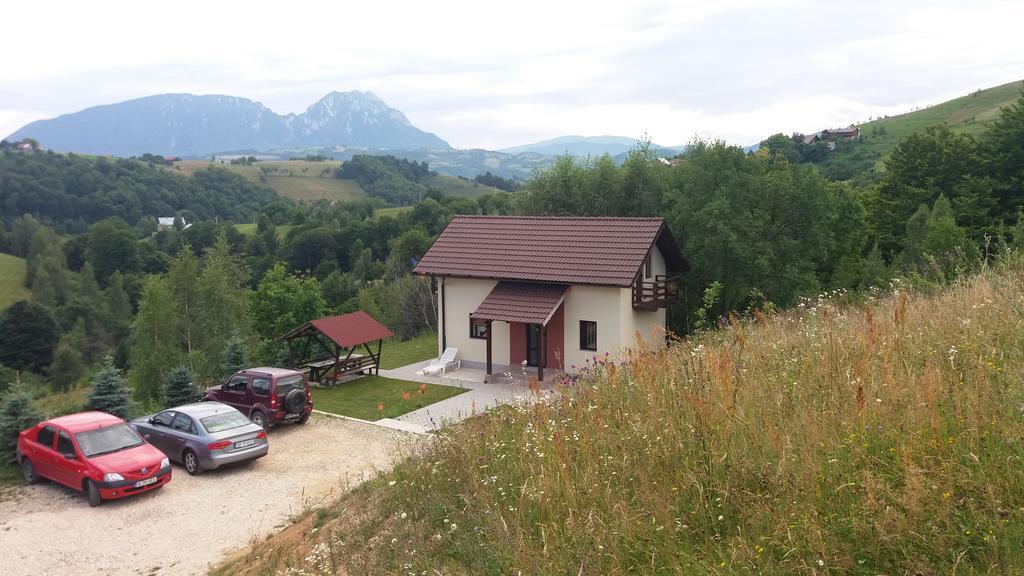Cabana 7 Brazi Poiana Mărului Exteriör bild