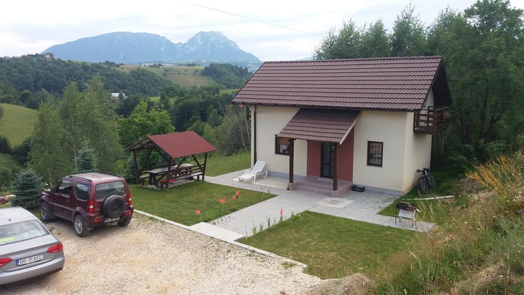Cabana 7 Brazi Poiana Mărului Exteriör bild