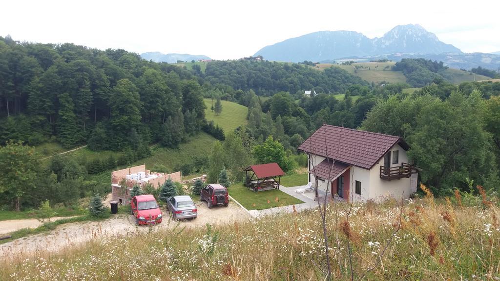 Cabana 7 Brazi Poiana Mărului Exteriör bild