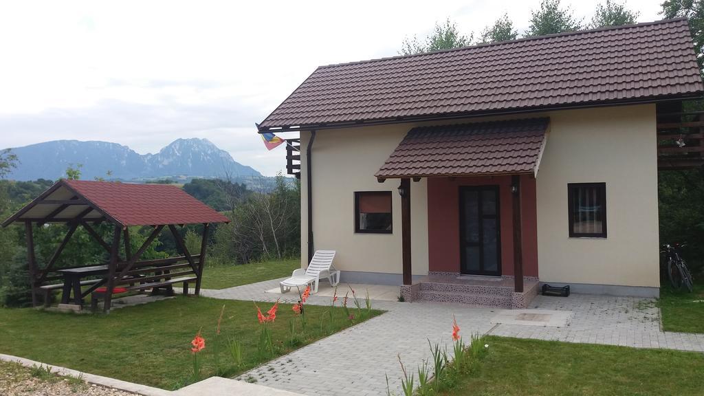 Cabana 7 Brazi Poiana Mărului Exteriör bild