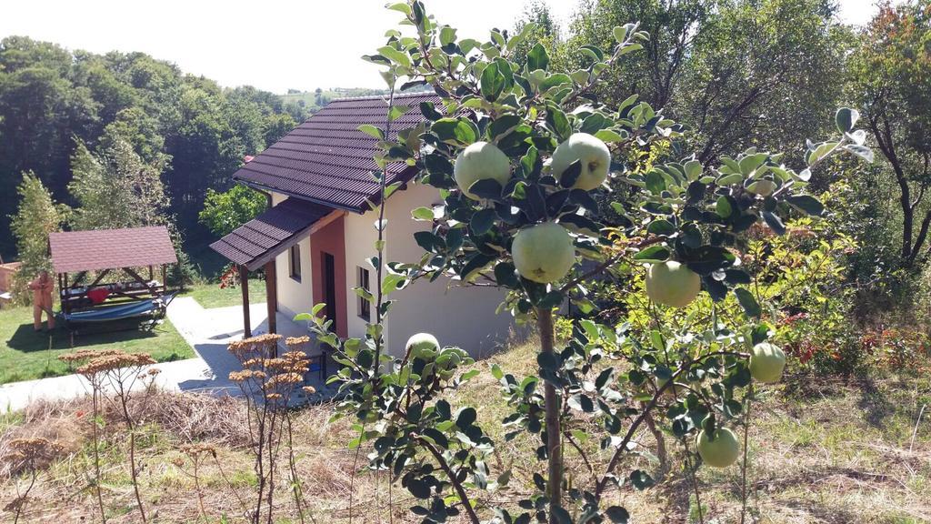 Cabana 7 Brazi Poiana Mărului Exteriör bild