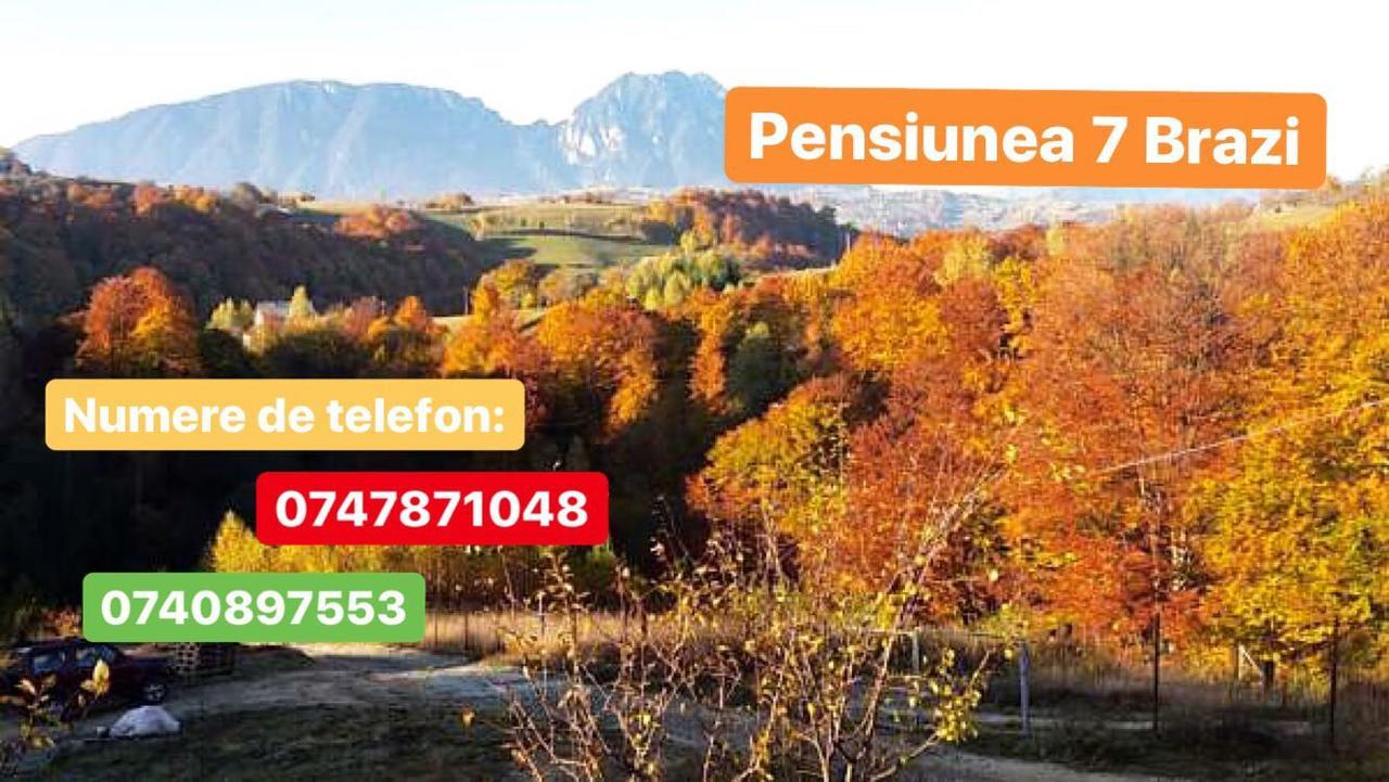 Cabana 7 Brazi Poiana Mărului Exteriör bild