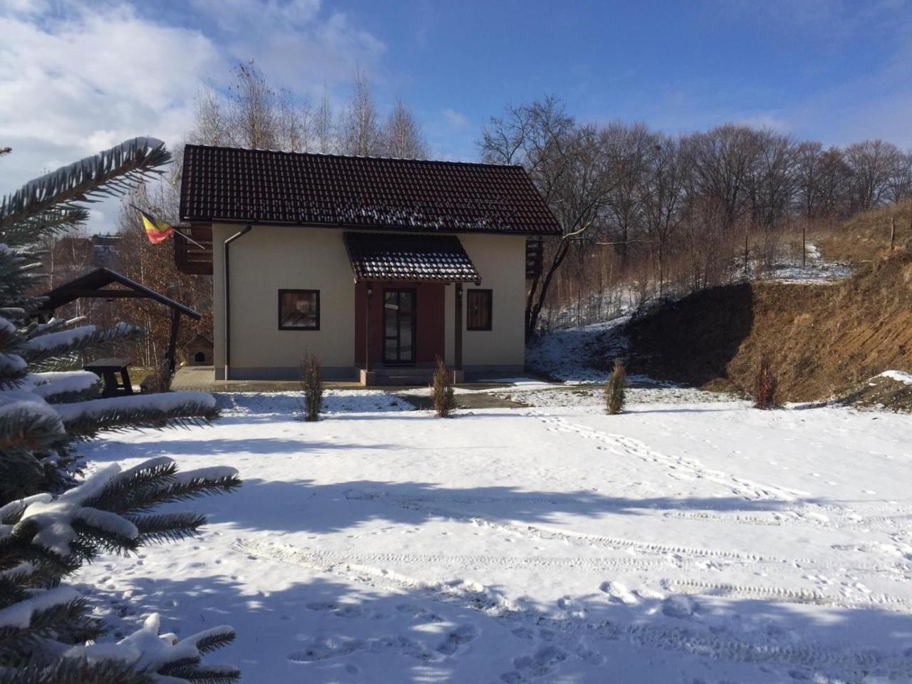 Cabana 7 Brazi Poiana Mărului Exteriör bild