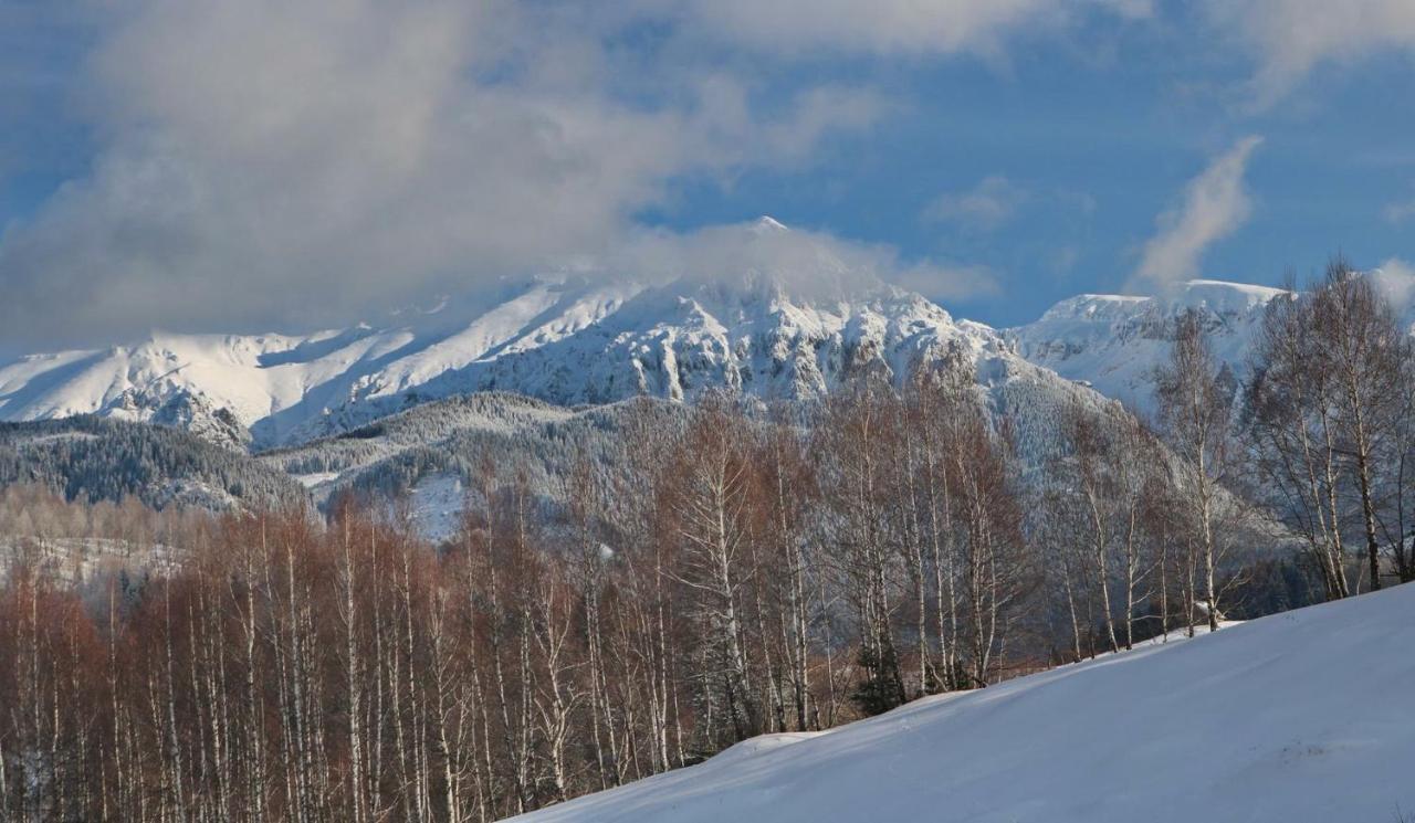 Cabana 7 Brazi Poiana Mărului Exteriör bild